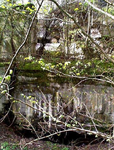 Bergkristall6.jpg (529269 bytes)